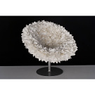 Tokujin Yoshioka Bouquet Chair