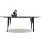 Willem Van Ast Coniq Table