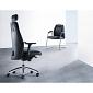 Dieter Stierli Zampano Chair