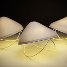 Jaime Salm and Katherine Wise Shroom Light