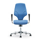 Walser Design  Giroflex 64 Chairs