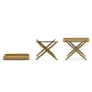 Achille Castiglioni Mate & Mini Mate Tray