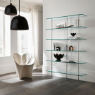 Donato DUrbino and Paolo Lomazzi Trasparenza Bookcase