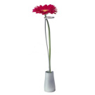Emmanuel Dietrich Plix Vase