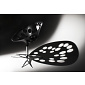 Franco Poli Exagon Chair