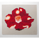 Paola Lenti Camellia Rug