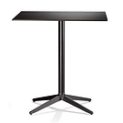 Sandra Laubeand Biagio Cisotti Mister X Table