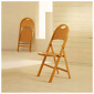 Achille and Pier Giacomo Castiglioni Tric Chair